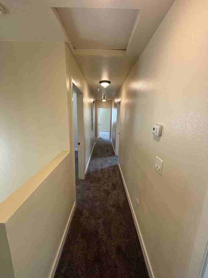 337 East 104th Street - Photo 7 of 18