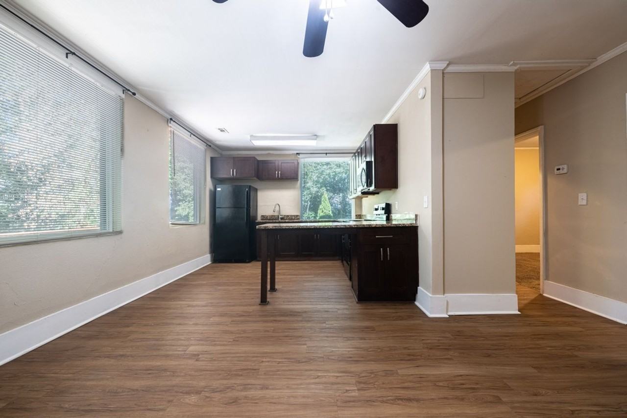 Walk to Campus! Downtown Apartment Available! - Photo 5 of 17