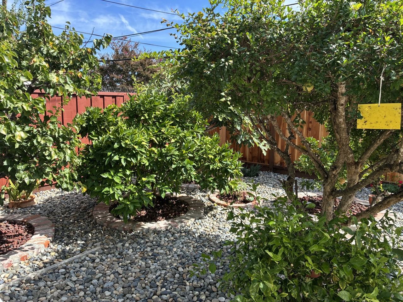 1470 Branham Ln #1 - Photo 3 of 7