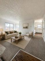 1919 Cindy Ct - Photo 1 of 1