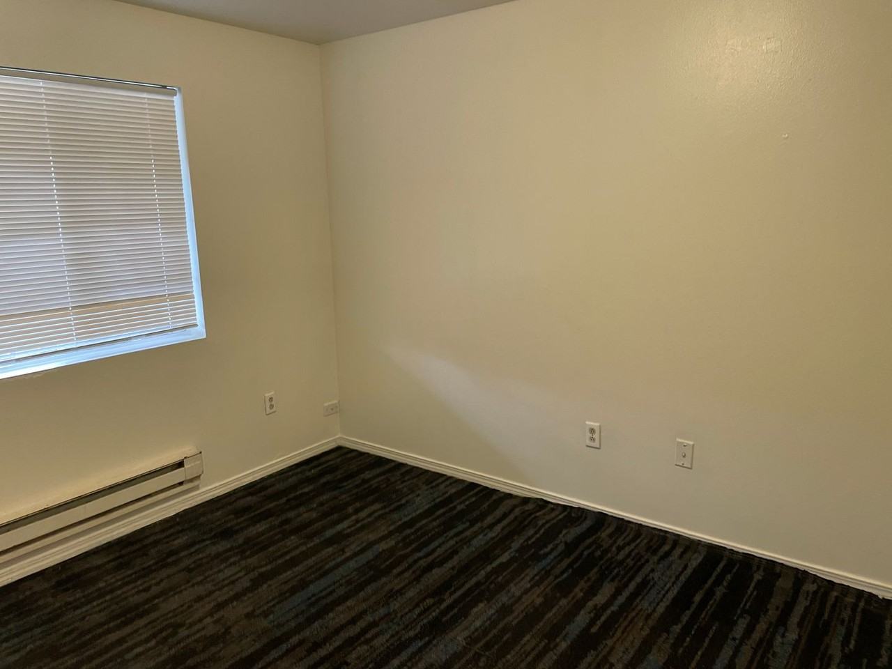 212 14th Ave SW - Photo 4 of 14