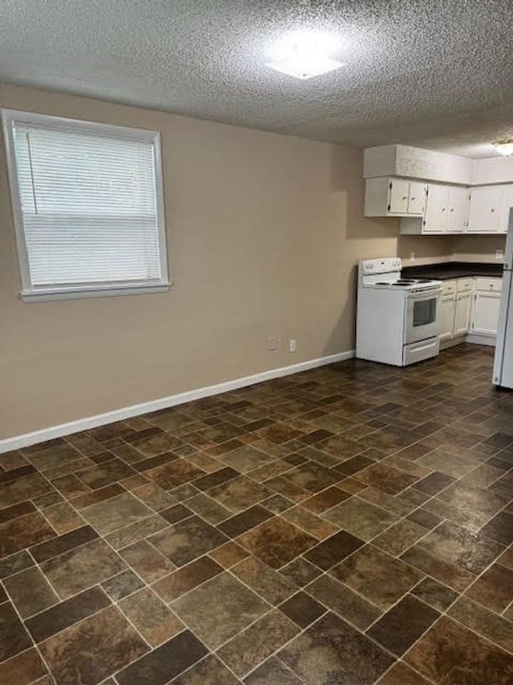 405 Myrtle St - Photo 4 of 11