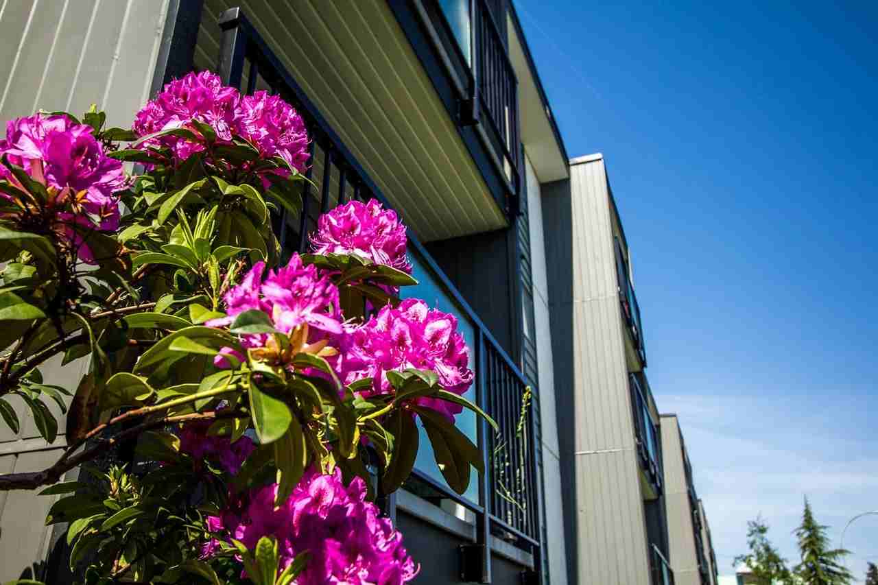 Barons Villa Apartments - Photo 4 of 4