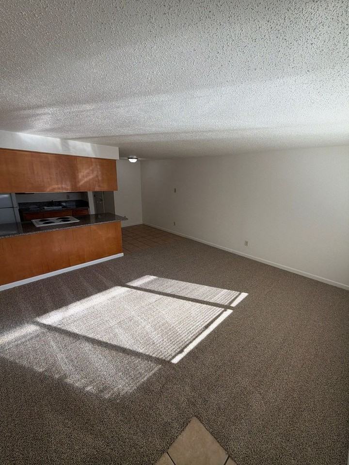 1015 5th Ave Sw #1 - Photo 3 of 13
