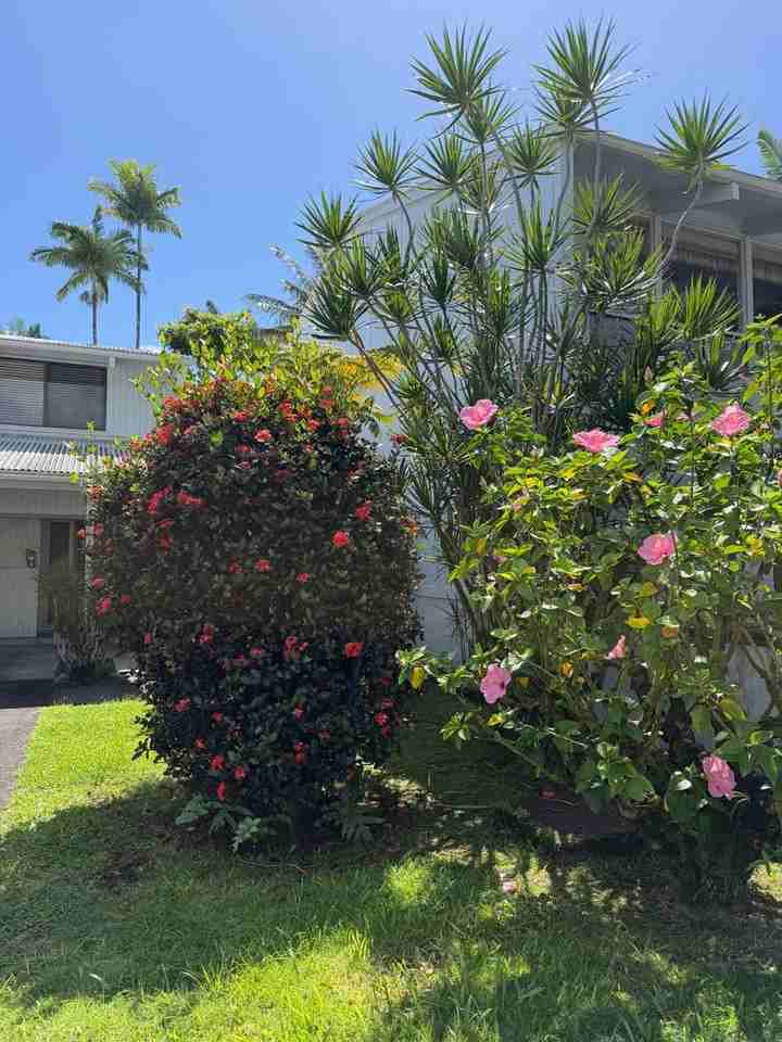 539 Kukuau St - Photo 2 of 24