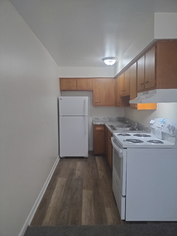 1920 Dallas Ave #4 - Photo 7 of 19