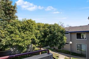 featured image of 6312 Buena Vista Dr #C