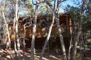 featured image of 237 E White Mountain Blvd #31