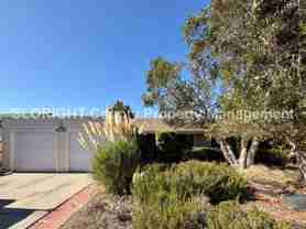 1388 Cavalier Ln - Photo 1 of 1
