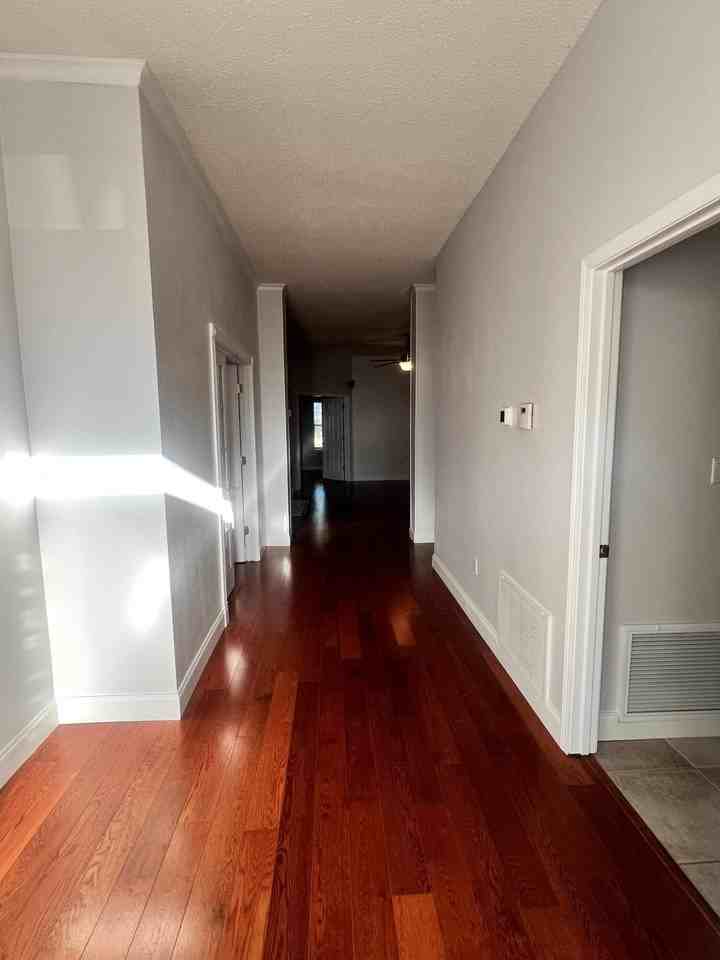 4204 Whitetail Cir - Photo 3 of 34