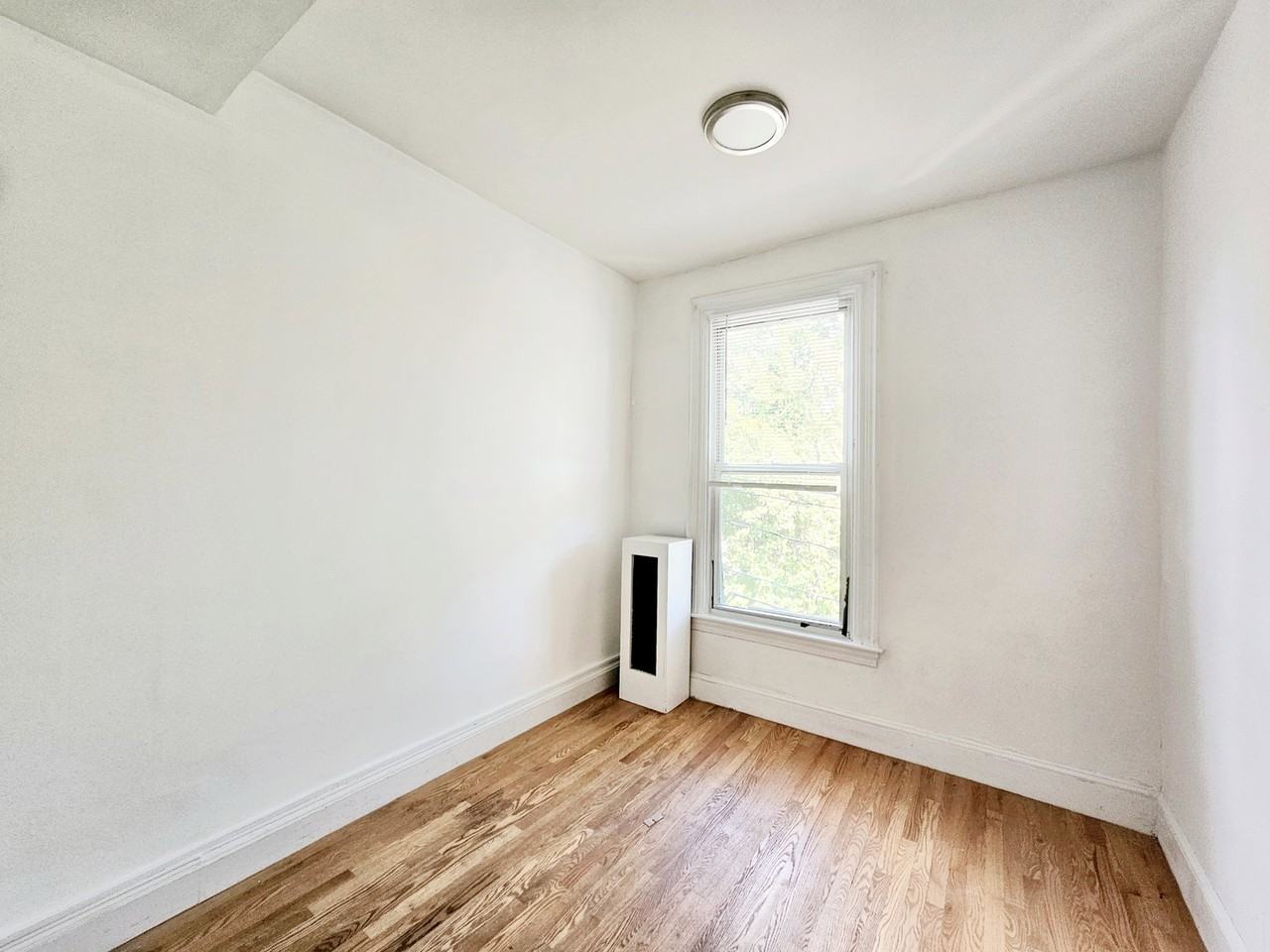38 Newton St #3 - Photo 7 of 8