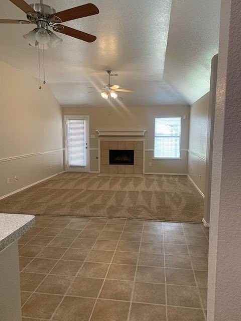 10621 Lipan Trl - Photo 4 of 13