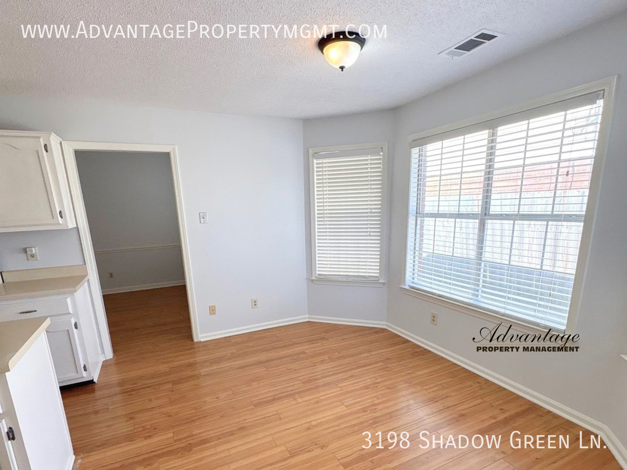 3198 Shadow Green Ln - Photo 7 of 23