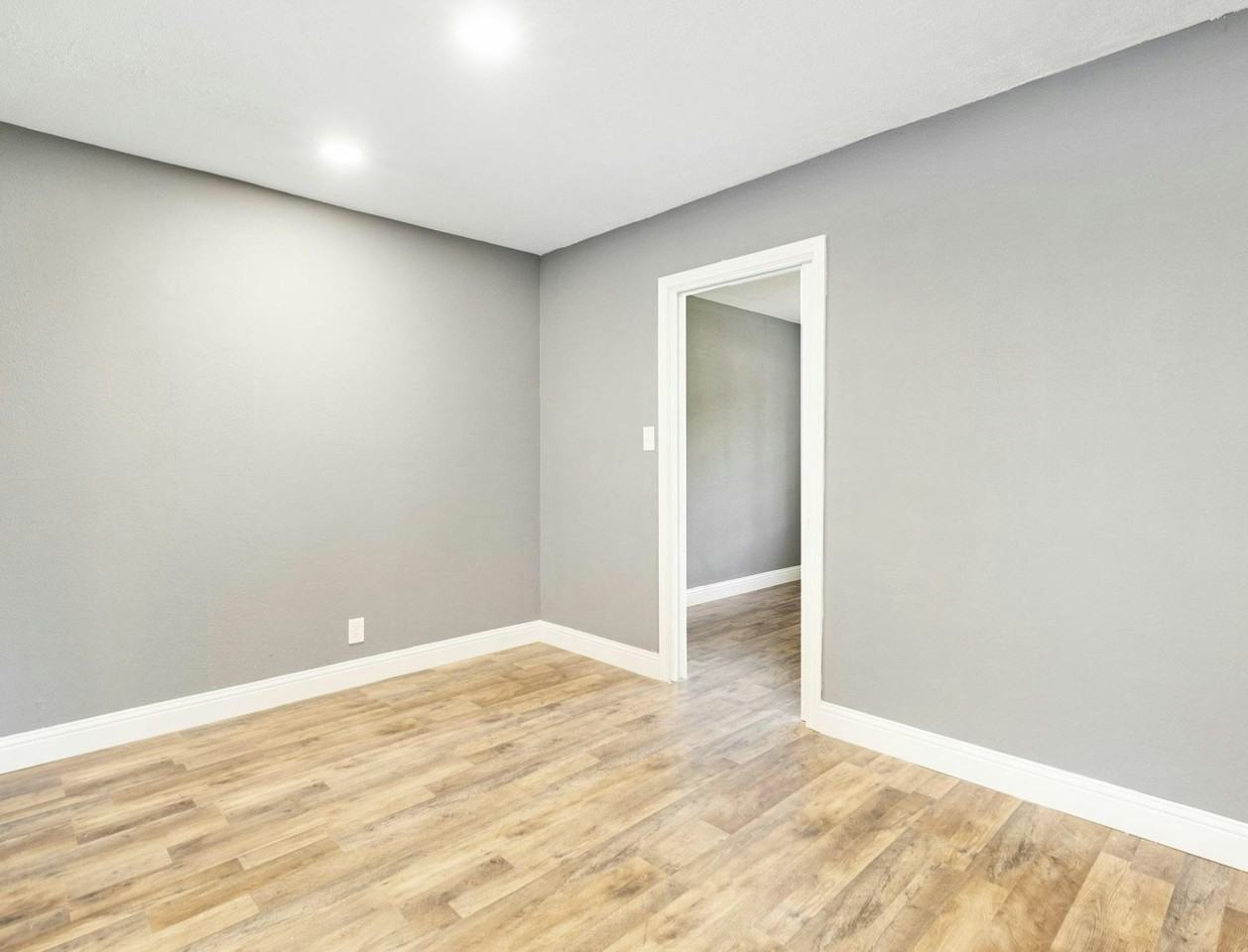 1521 West Blum Street - Photo 7 of 19
