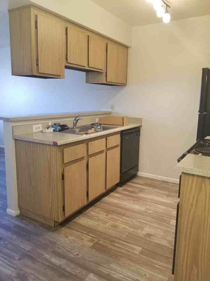 Catalina Apartments - Photo 5 of 50