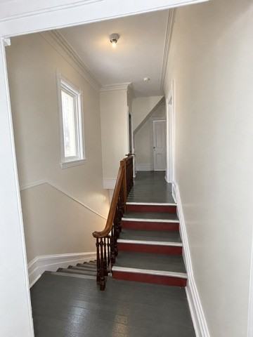 417 Lisgar Street - Photo 7 of 18