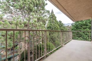 Sunnylane Apartments - Photo 1 of 1