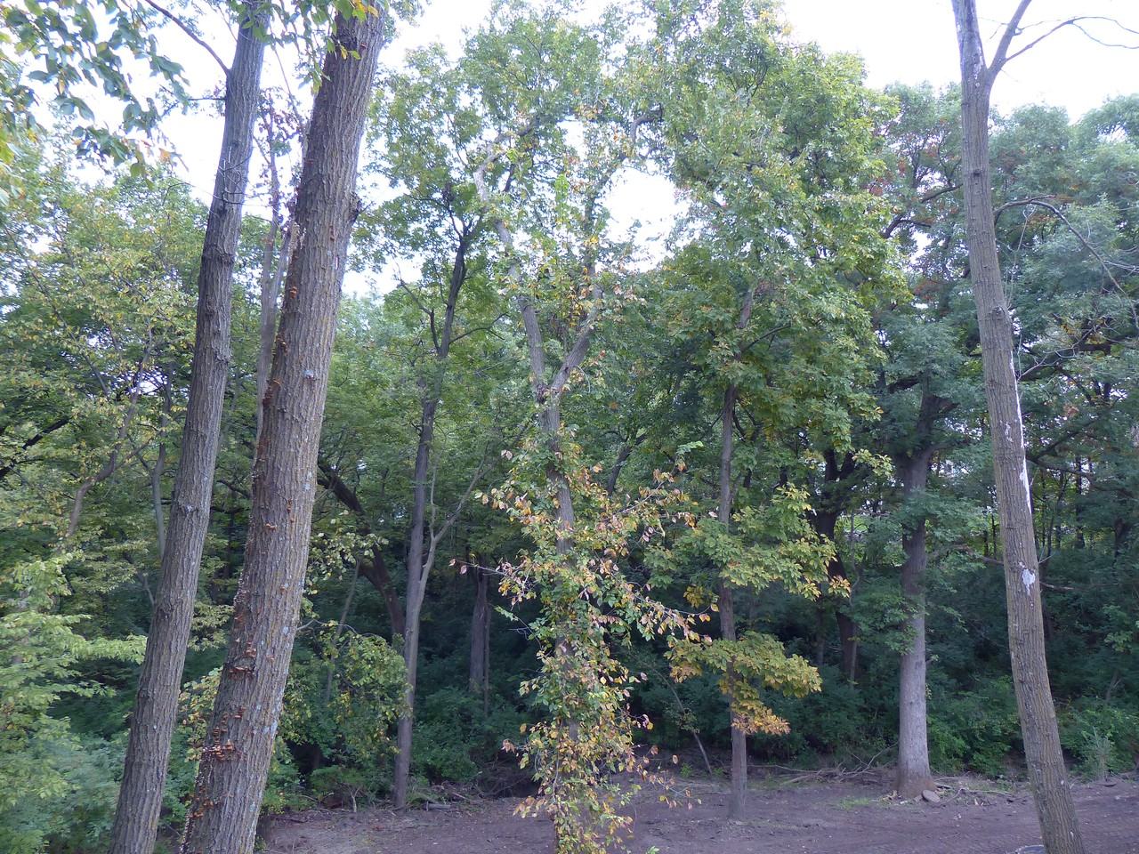 12801 Oak Brook Drive - Photo 2 of 20