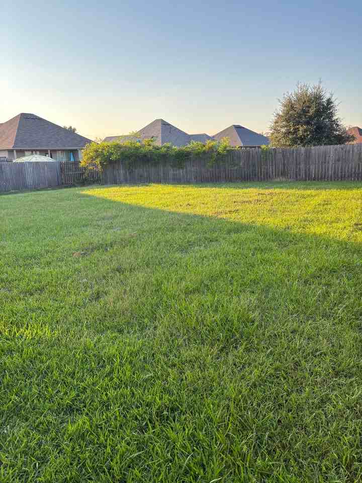 42384 Tigers Eye Stone Ave - Photo 5 of 50