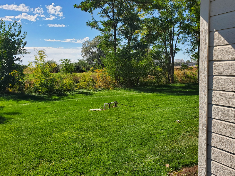 16823 N Waterford Way - Photo 5 of 8