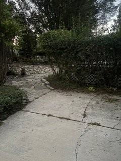 278 Se - Photo 4 of 23