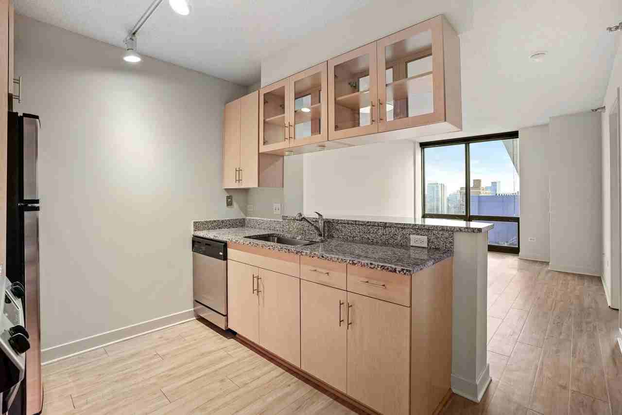1251 S Michigan Ave - Photo 6 of 17