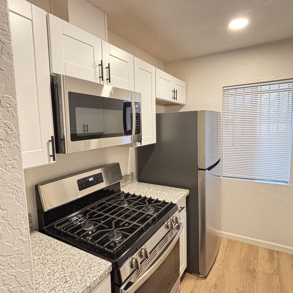 828 S Langley Ave #101 - Photo 3 of 20