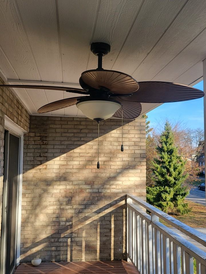 4328 W Bancroft St #1 - Photo 7 of 20