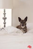 1360 N Crescent Heights Blvd #1B - Photo 1 of 1