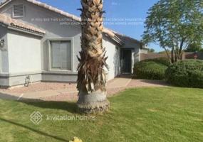 featured image of 3302 W Tina Ln