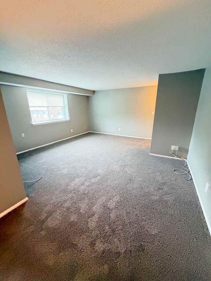 12003 Tarragon Rd - Photo 5 of 13