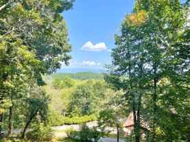 101 Hanlon Mountain Rd - Photo 1 of 1