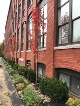 685 Lawrence St - Photo 1 of 1