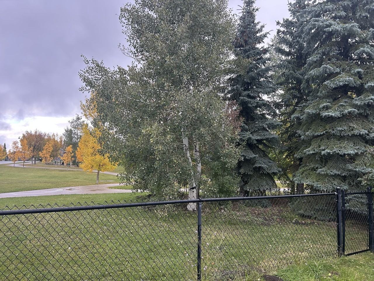 8050 Cougar Ridge Ave Sw - Photo 7 of 7