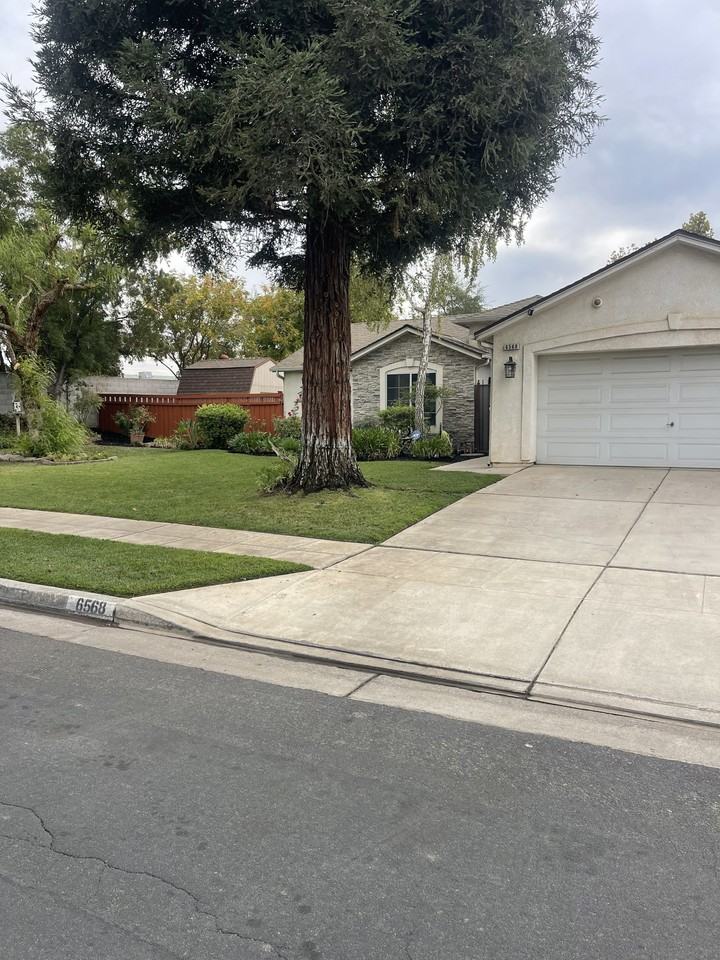 6568 N Cornelia Ave #NA - Photo 2 of 20