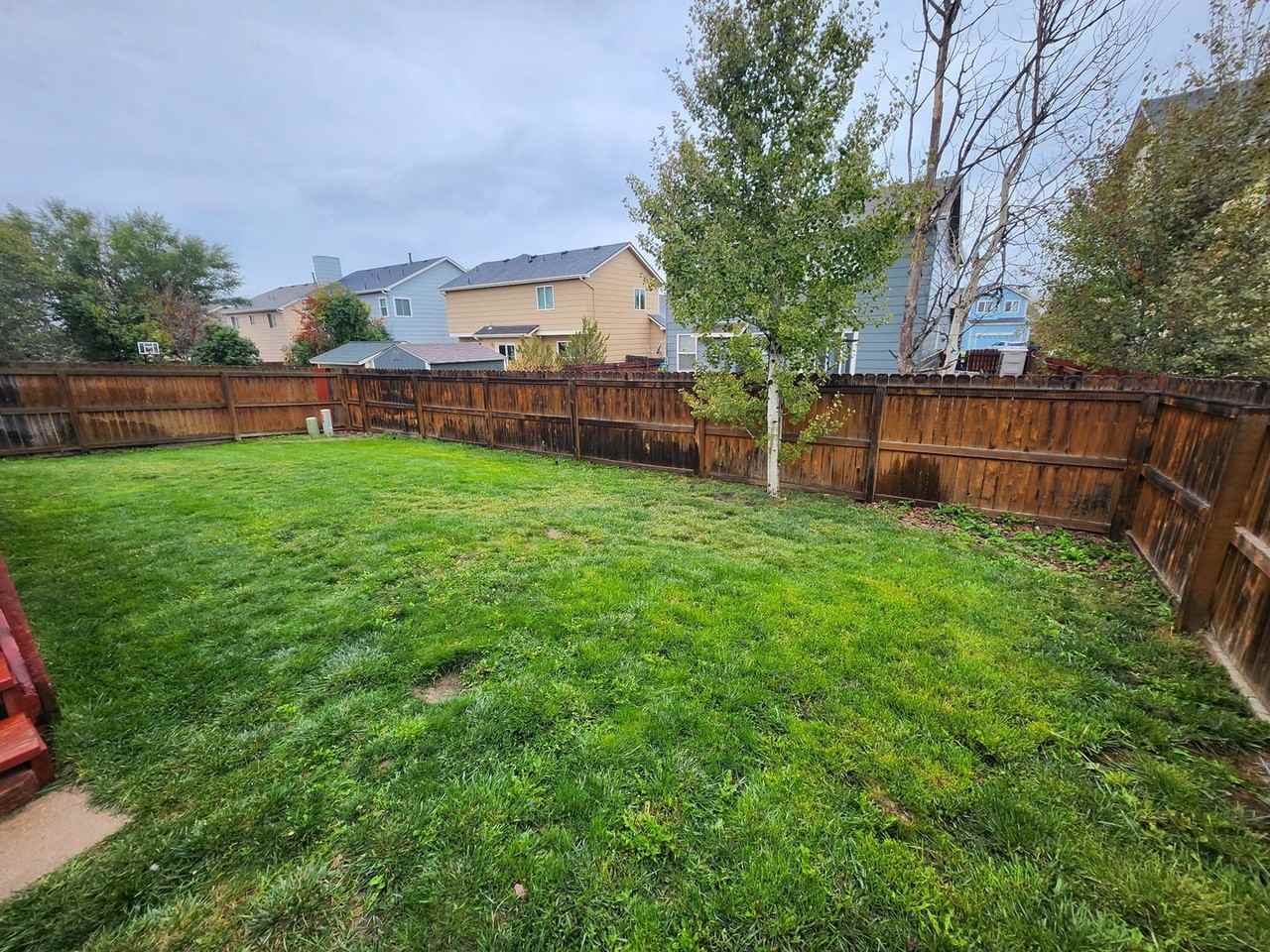 2372 Sage Grouse Ln - Photo 5 of 23