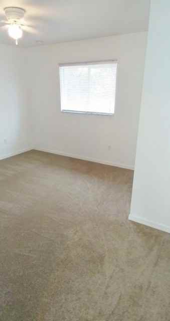 3145 W Dittany Dr - Photo 7 of 9