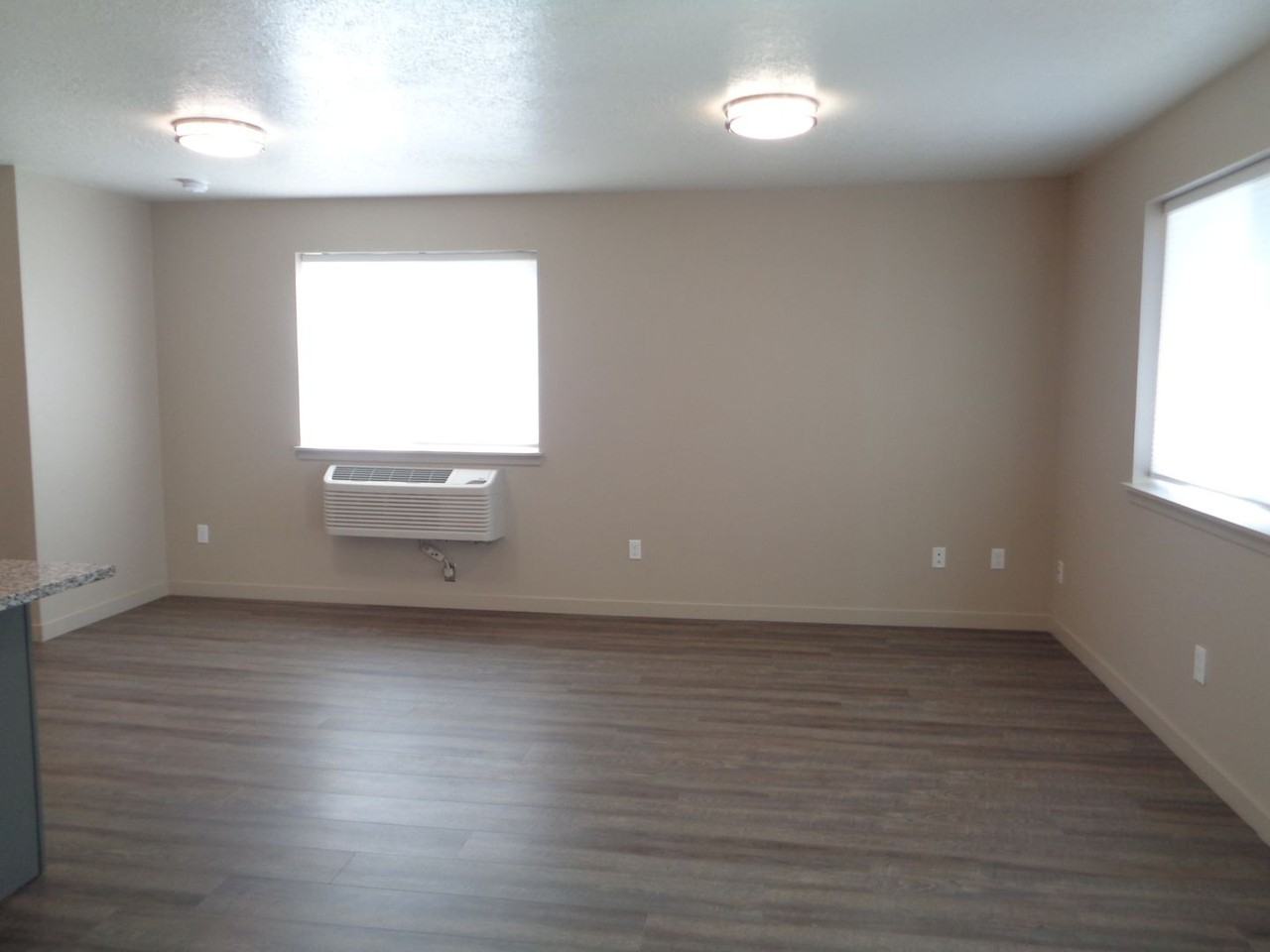 436 W Rose St - Photo 3 of 11