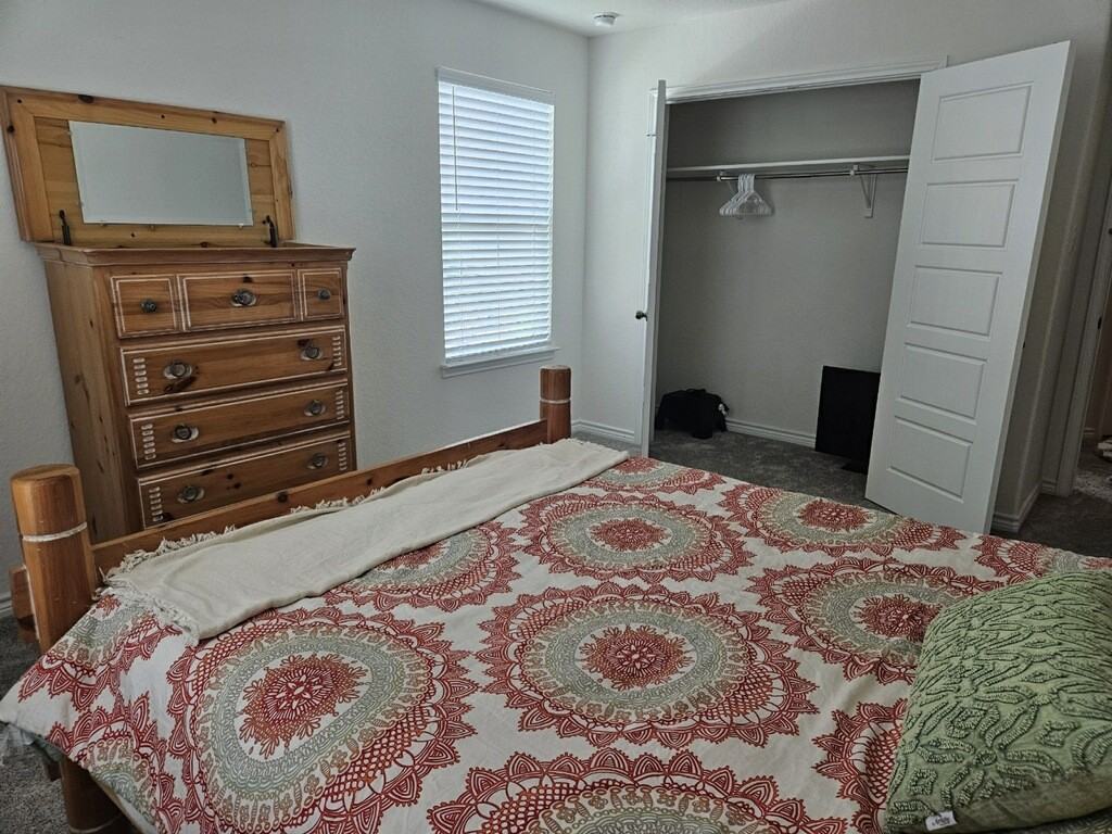 2080 Turkey Creek - Photo 5 of 5