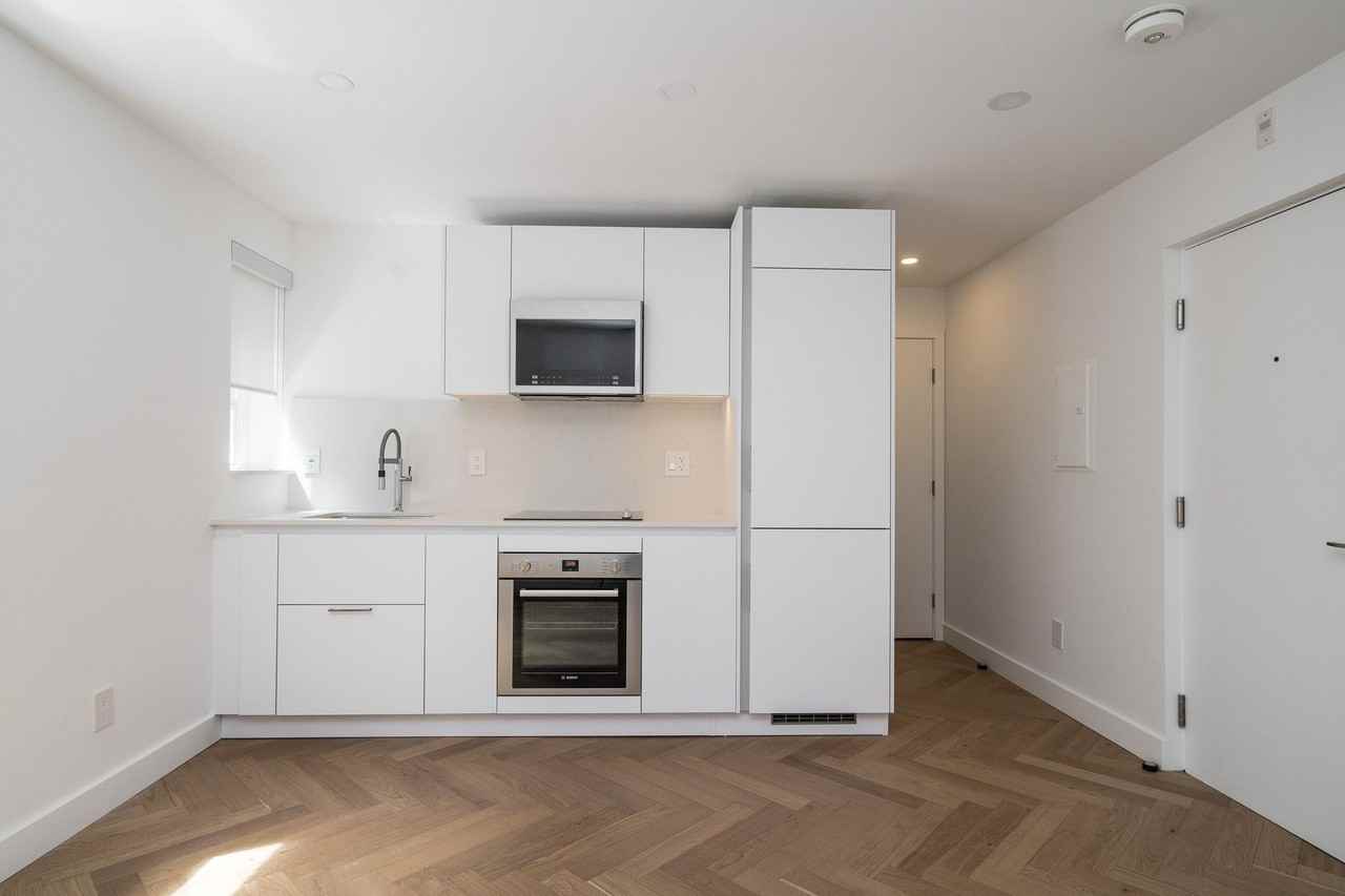 54 - 56 Maitland Street - Photo 4 of 50