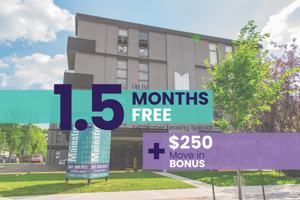 featured image of 11343 124 St Nw