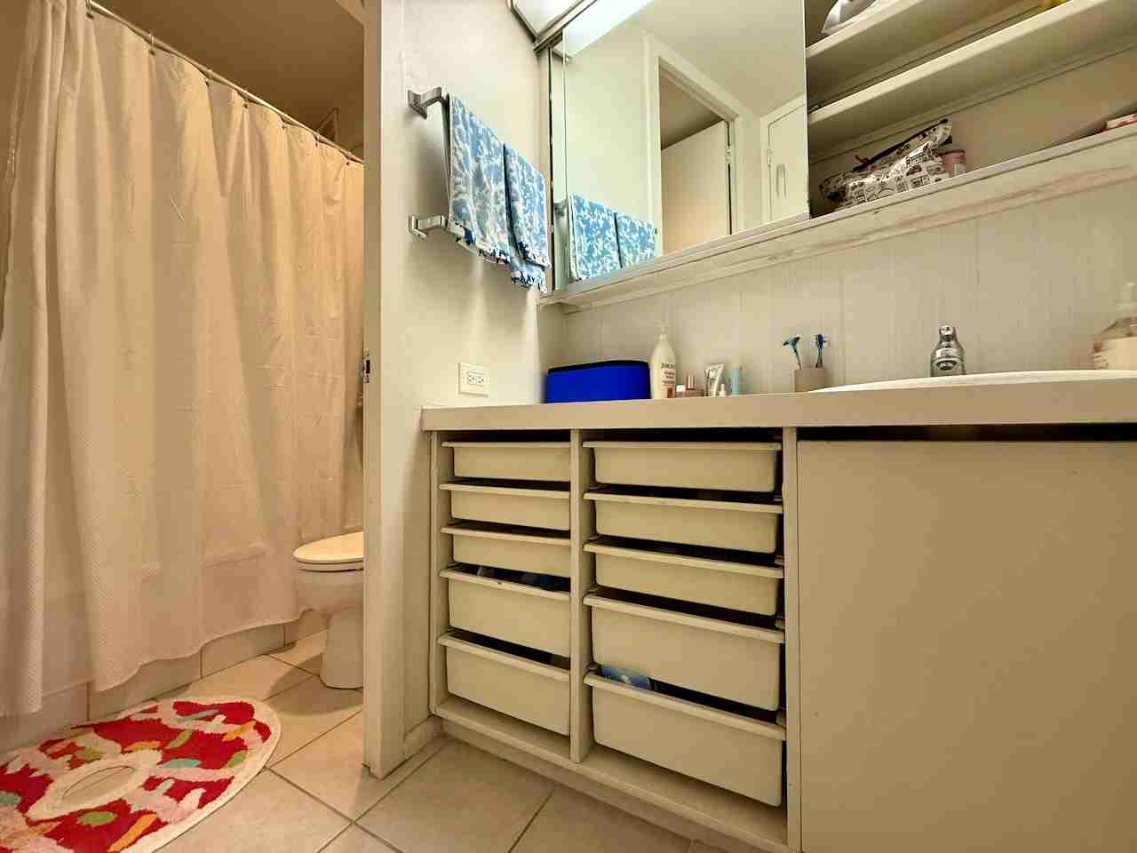 300 North State Street - 4603Unit 4603 #4603 - Photo 3 of 12