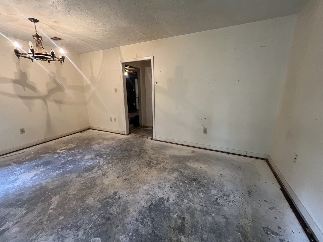137 Grover Cleveland Cir #1 - Photo 3 of 10