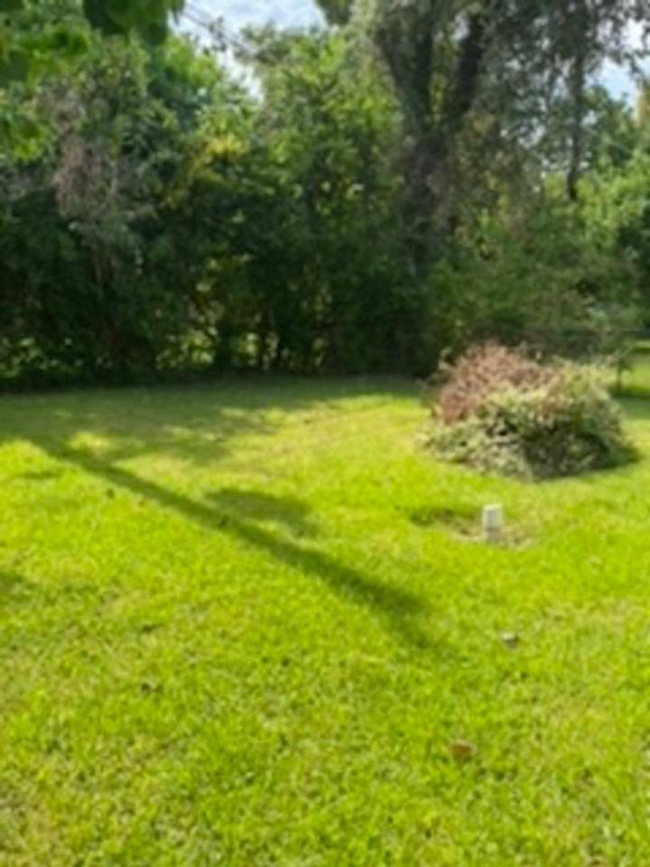 9909 Whitehead St - Photo 3 of 13