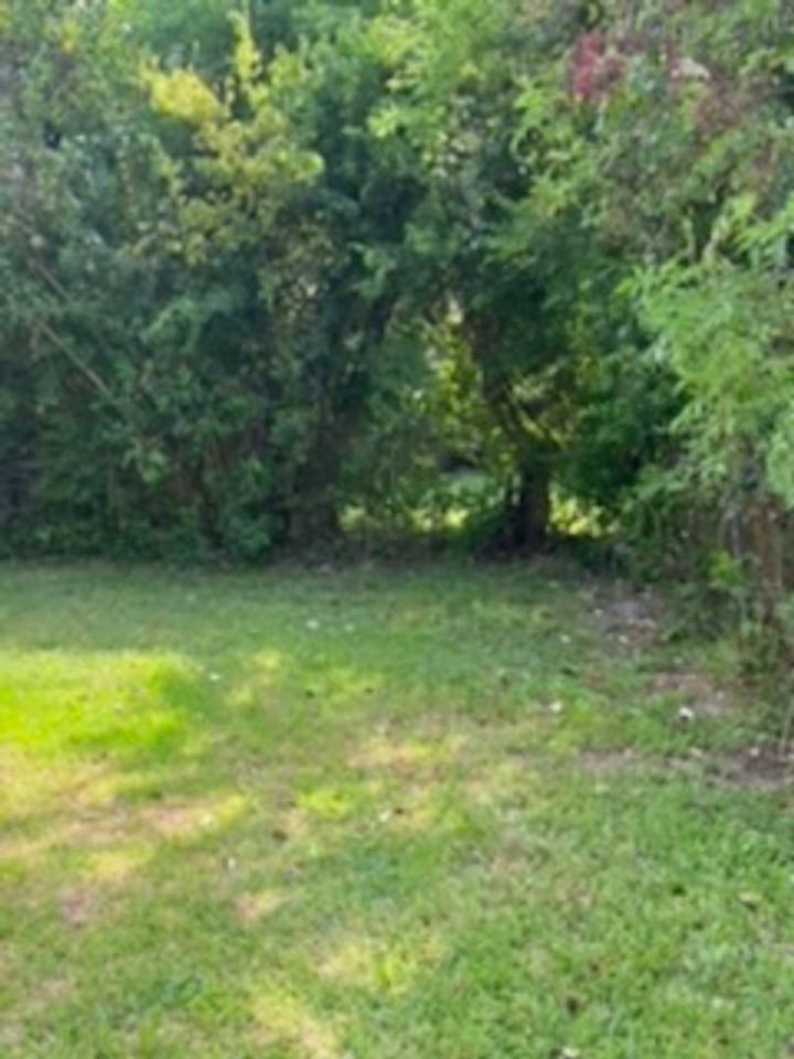 9909 Whitehead St - Photo 5 of 13