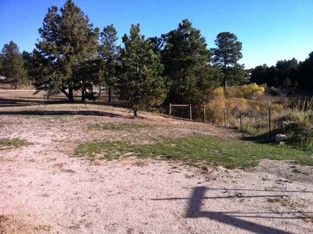 10955 Egerton Rd - Photo 2 of 13