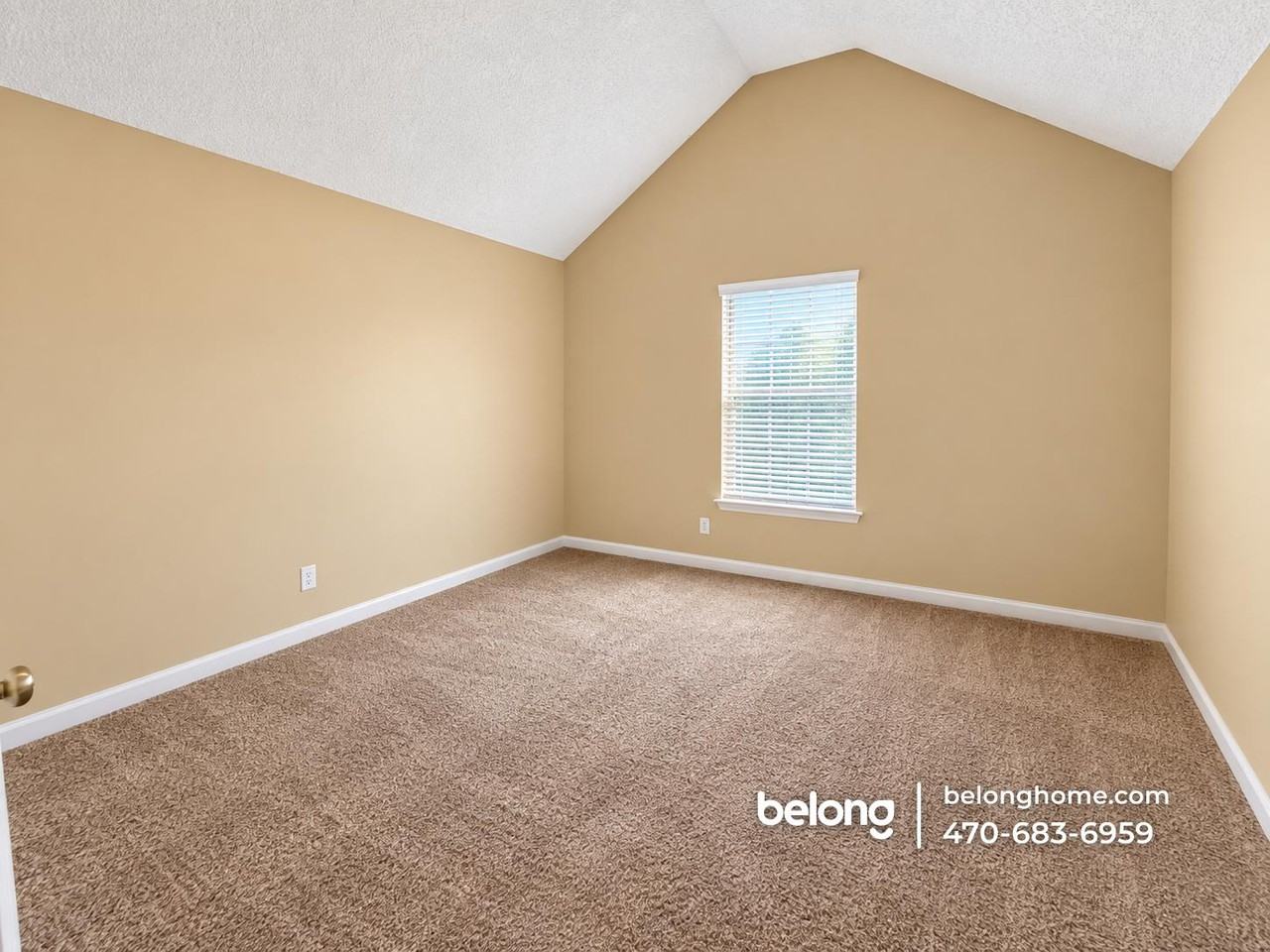 3542 Waldrop Ridge Ln - Photo 4 of 10