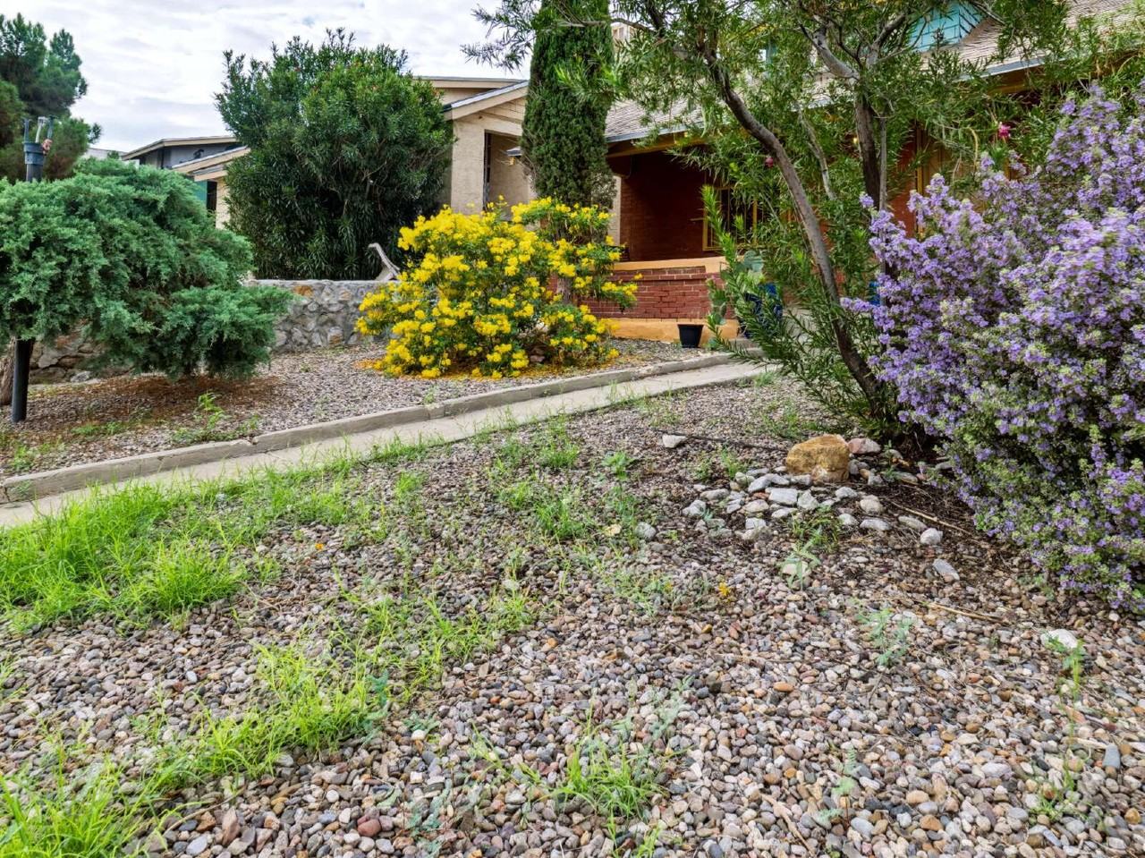 1413 N El Paso St - Photo 5 of 29