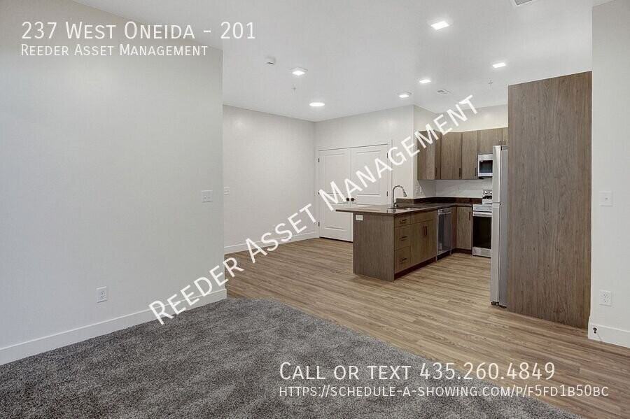 237 W Oneida St #201 - Photo 3 of 22