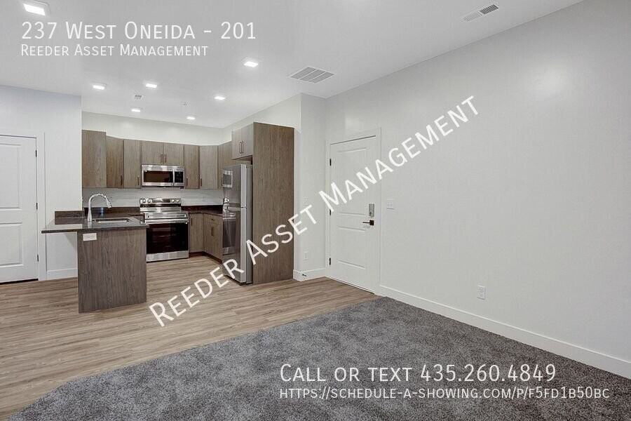 237 W Oneida St #201 - Photo 4 of 22